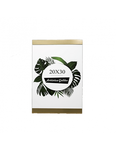 Portarretrato De Aluminio Galileo 20...