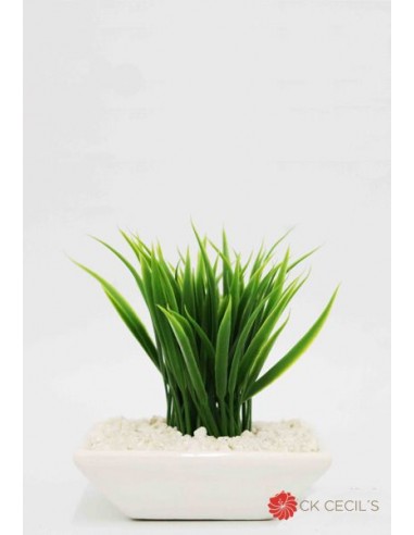 Sushi Zem Cecils Cuadrado Con...