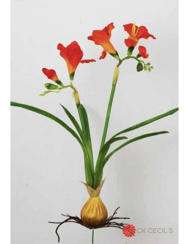 Fressia Cecils Con Bulbo Fs00612/01