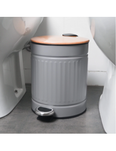 Cesto A Pedal Vintage...