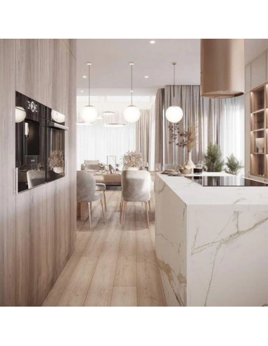 Placa LuxaPET RC Cenal Luna Premium...