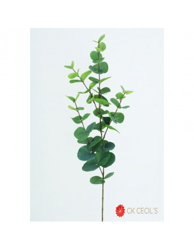 Cecils Eucalyptus Spray 92 Cm Rm64728