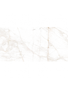 Porcelanato Pulido Cerro...