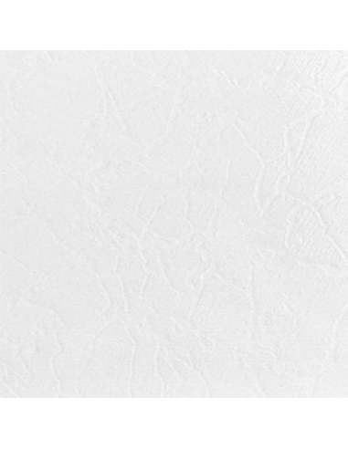 Cerámica Salteña 43x43 Chañi Blanco...