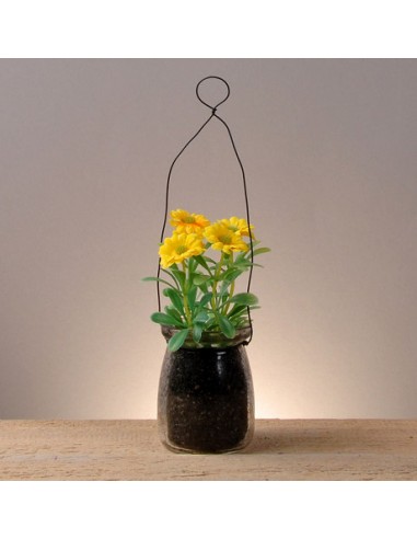 Planta Colgante Mideko En Vidrio 9 X...