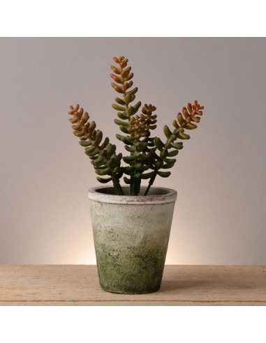 Maceta De Cemento Con Planta Mideko...