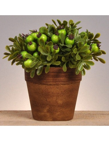 Planta Con Berries Mideko 8 X 13 cm...