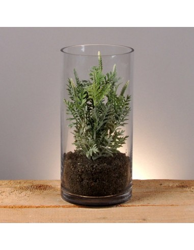 Terrario De Vidrio Mideko Fl5651