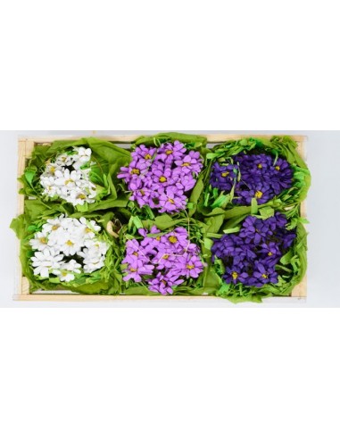 Junko Cajon C/6 Plantines 2 48 (T107)