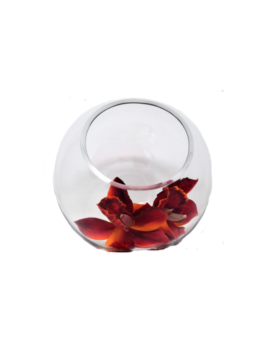 Globo De Vidrio Junko Inclinado 20 cm...