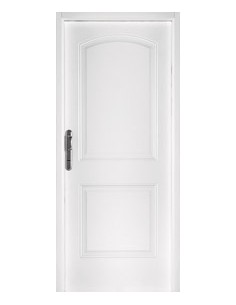 Puerta Inyectable M3707B...