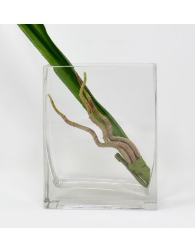 Rectangulo De Vidrio Junko 9 cm E27