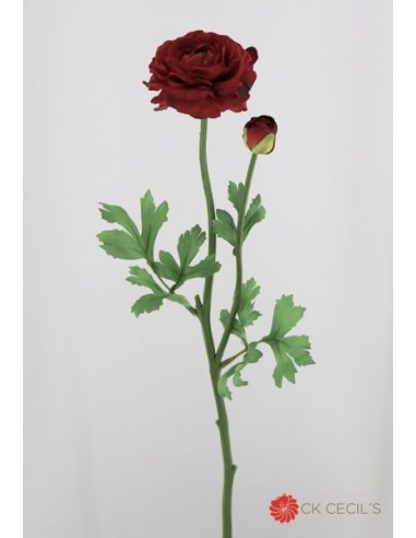 Vara Ranunculus Cecils Con 2 Flores Y...