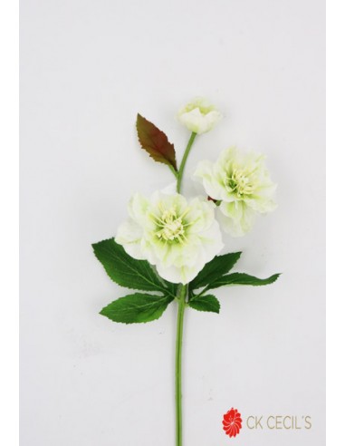 Ramo Cecils Helleborus Spray 41cm...