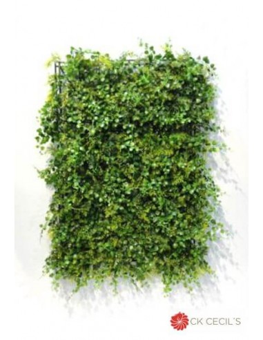 Cesped Cecils Mat Plastic 40 X 60 cm...