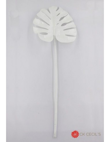 Hoja De Porcelana Cecils Look Split...