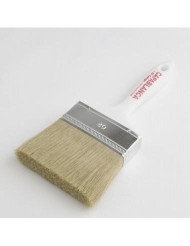 Pinceleta Nº40 Capablanca El Galgo