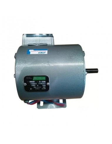Motor Villa Mayerling 1 HP Monofásico