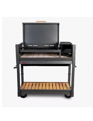 Parrilla Gaucha Tromen Parrilla Gaucha Tromen