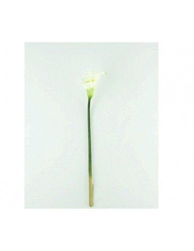 Calla Lily Spray Cecils 70 cm. Fs01228