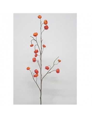 Mini Vara Zapallito Cecils 80cm Rm02935