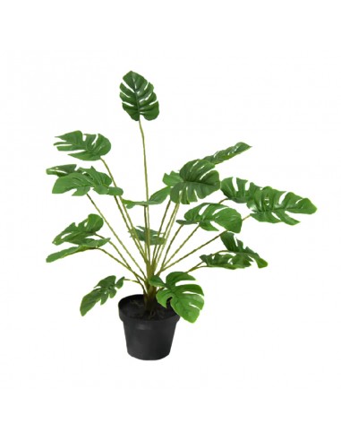 Planta Junko 55 cm Fa182