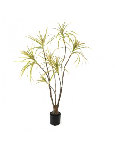 Planta Junko 160 cm Fa228