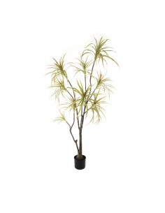 Planta Junko 180 cm Fa229