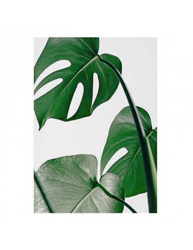 Cuadro Mideko Canvas De Madera 33 X 2...