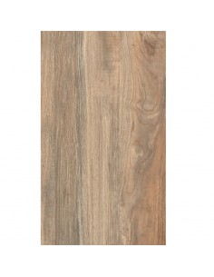 Cer. Lourdes Reves. 31x53...