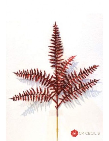 Vara De Helecho Cecils 38 cm Na74030