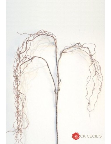 Rama Cecils Willow Hanging Spray 1.37...