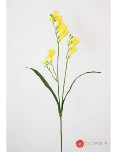 Freesia Spray Cecils X 65 cm Amarillo...