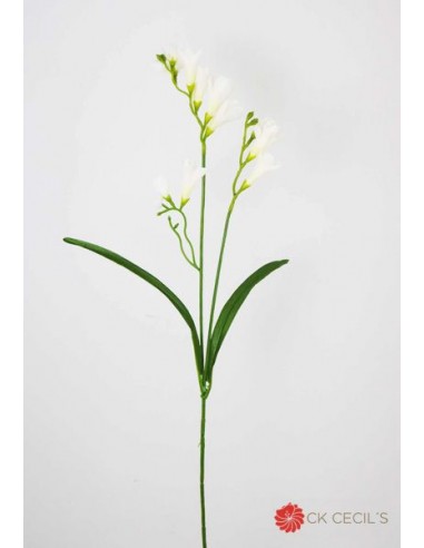 Freesia Spray Cecils X 65 cm Blanco...