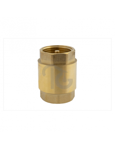 Valvula Retencion 3/4 Tg Plast Bvr002