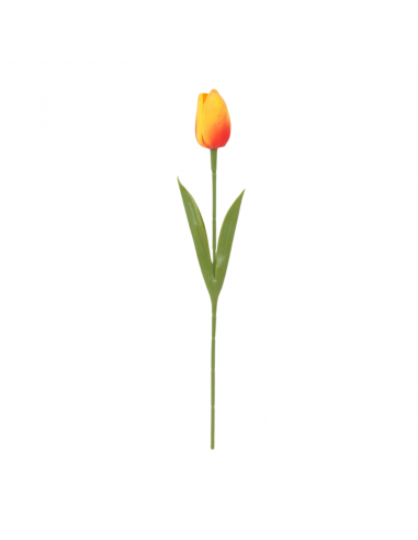 Junko Tulipan 33 Cm (100 1200) Fa468